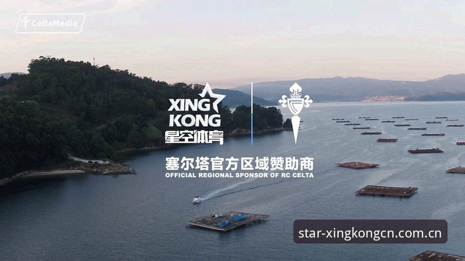 中国公开版官网登录教程 老用户的三种弯路与一条捷径——星空体育中国公开版登录实测心得